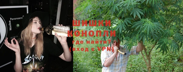 гидропоника Белая Холуница