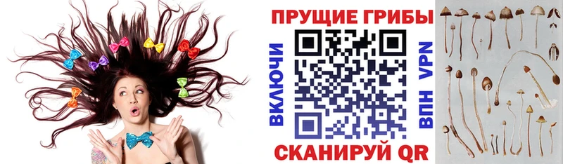Псилоцибиновые грибы мухоморы Мыски